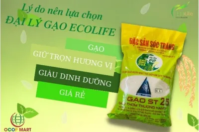 Ông Hồ Quang Cua đề nghị bảo vệ thương hiệu gạo ST25 ngon nhất thế giới